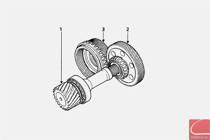 Главная пара двигателя AD4 (1 - главное зубчатое колесо, 2 - зубчатое колесо, 3 - зубчатый вал)