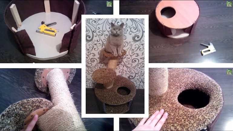 Как сделать домик для кошки своими руками: пошаговая инструкция