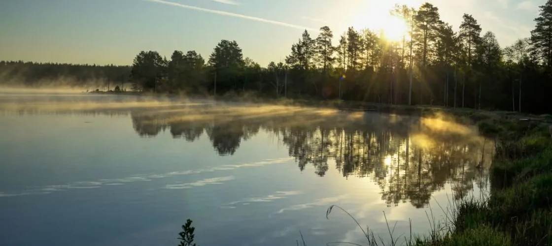 Озеро Светлояр – русское зазеркалье. Природа, история появления, отдых